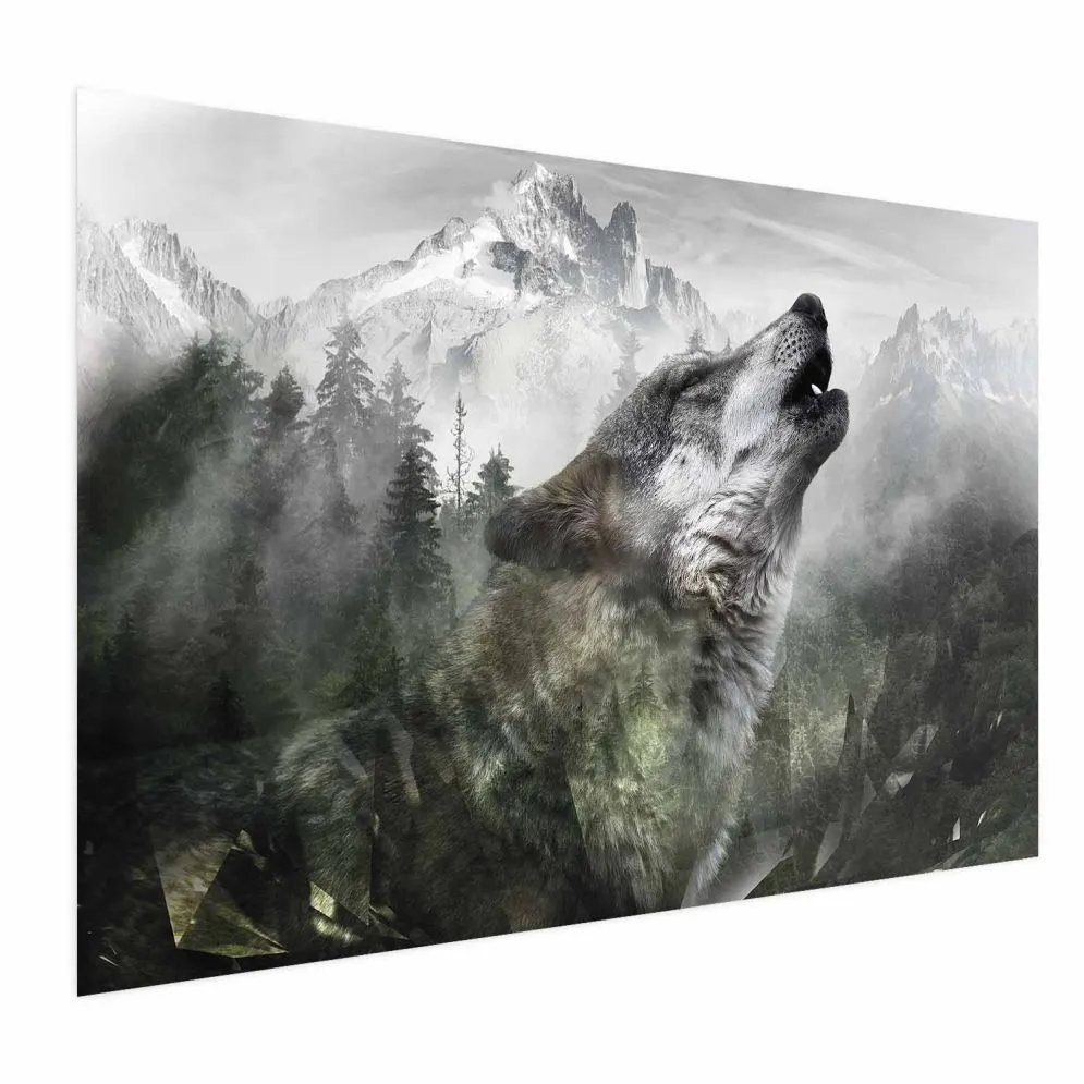 Plakat Wyjący wilk 60x40 cm bez ramy bez marginesu | MIRAT.
