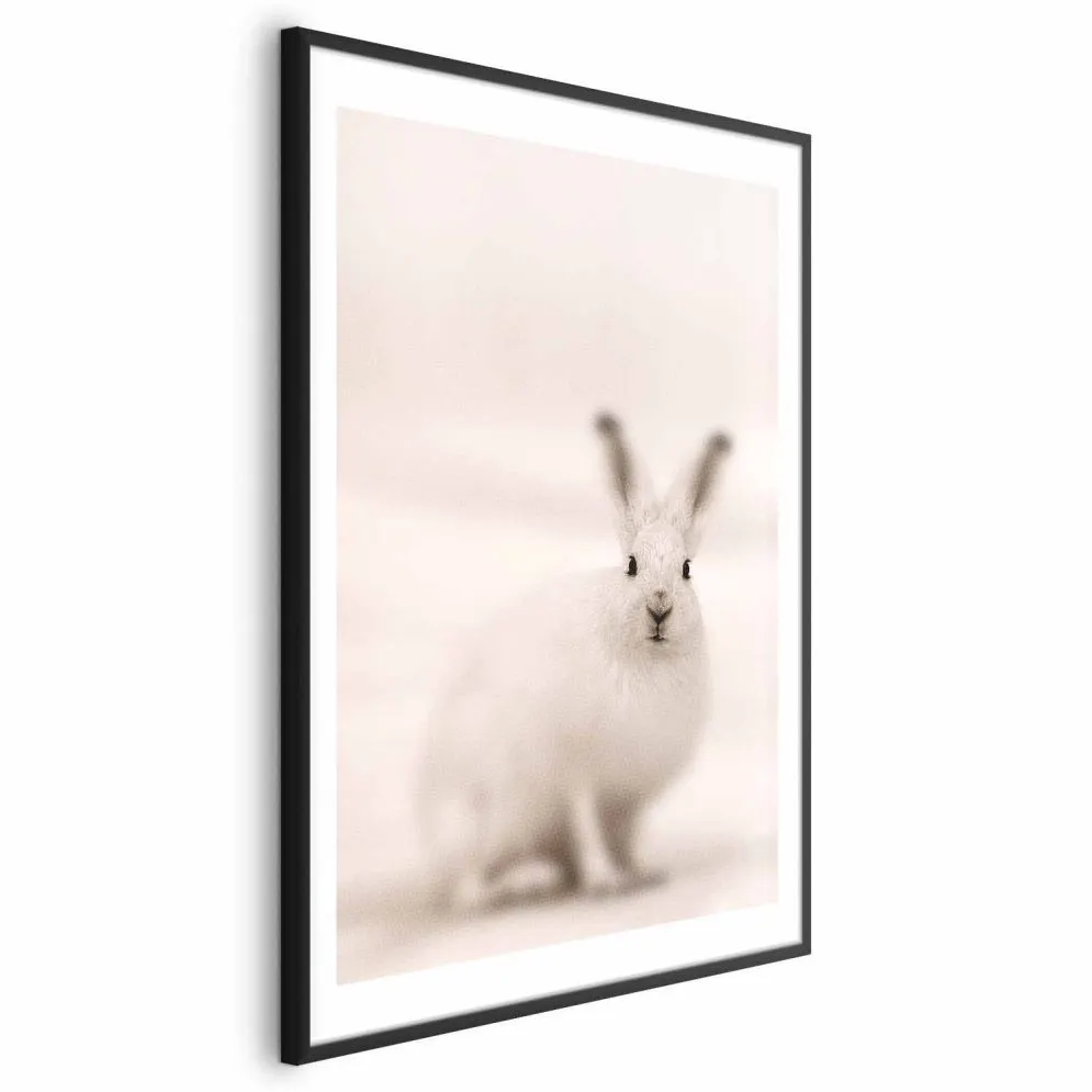 Plakat Strachliwe spojrzenie 60x90 cm z ramą czarną z marginesem | MIRAT.