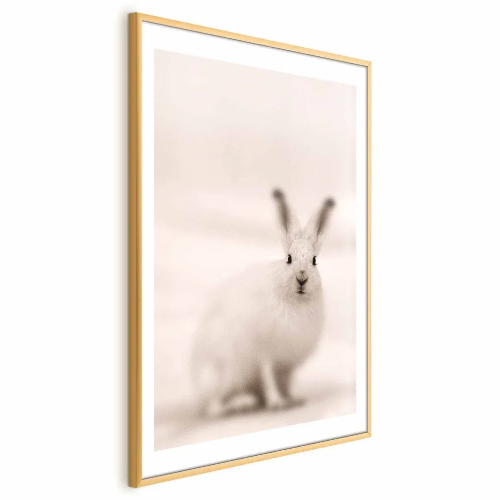 Plakat Strachliwe spojrzenie 60x90 cm z ramą złotą z marginesem | MIRAT.