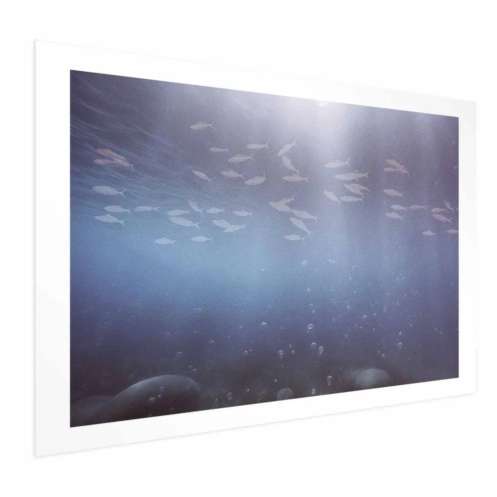 Plakat Rybki w głębinach 30x21 cm bez ramy z marginesem | MIRAT.