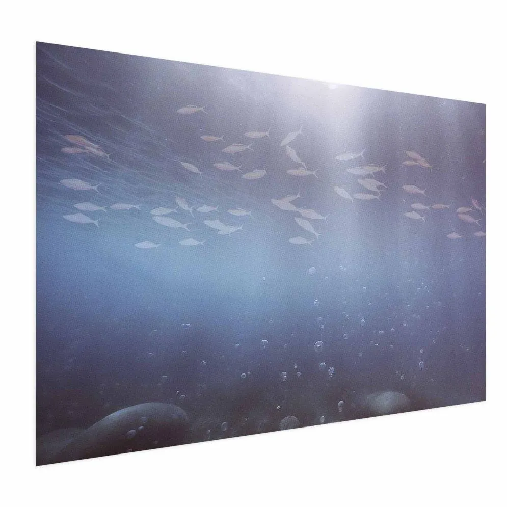 Plakat Rybki w głębinach 60x40 cm bez ramy bez marginesu | MIRAT.