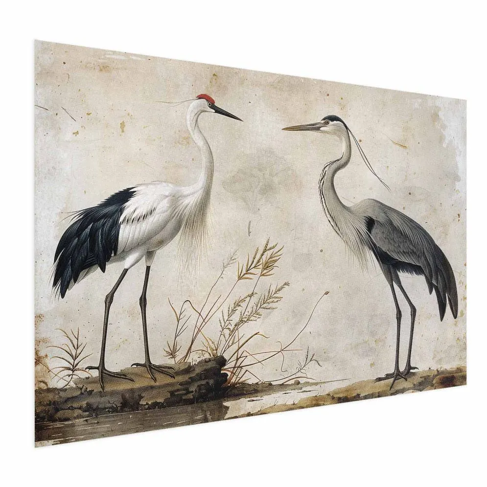 Plakat Ptaki z ryciny 90x60 cm bez ramy bez marginesu | MIRAT.