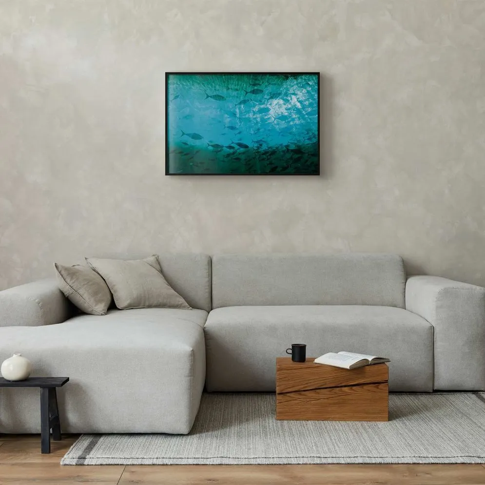 Plakat Gromada ryb 60x40 cm z ramą czarną bez marginesu | MIRAT.