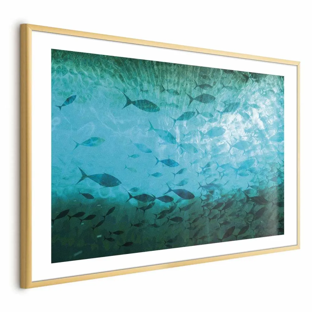 Plakat Gromada ryb 60x40 cm z ramą złotą z marginesem | MIRAT.