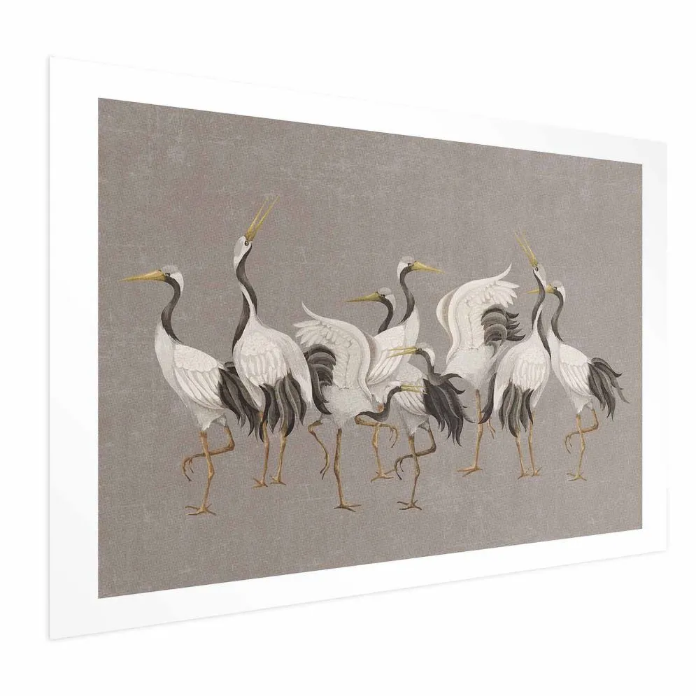 Plakat Taniec żurawi 42x29,7 cm bez ramy z marginesem | MIRAT.