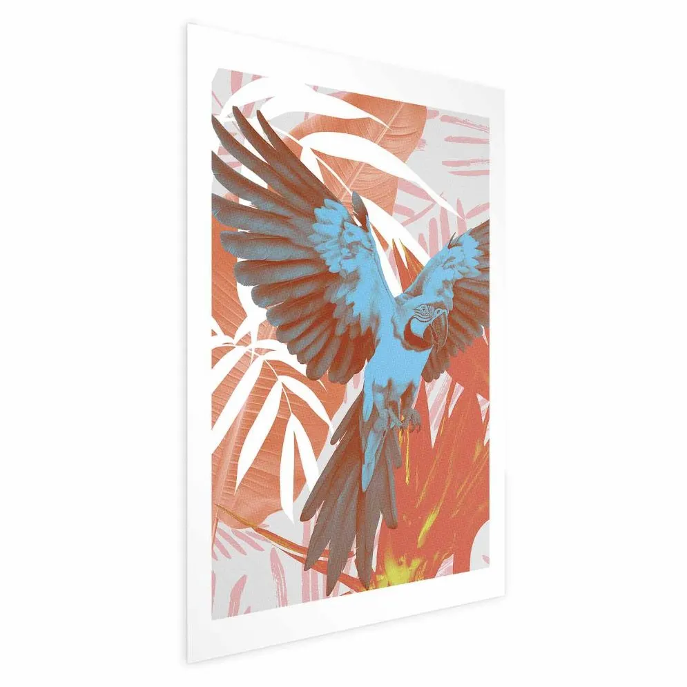 Plakat Egzotyczne skrzydła 29,7x42 cm bez ramy bez marginesu | MIRAT.