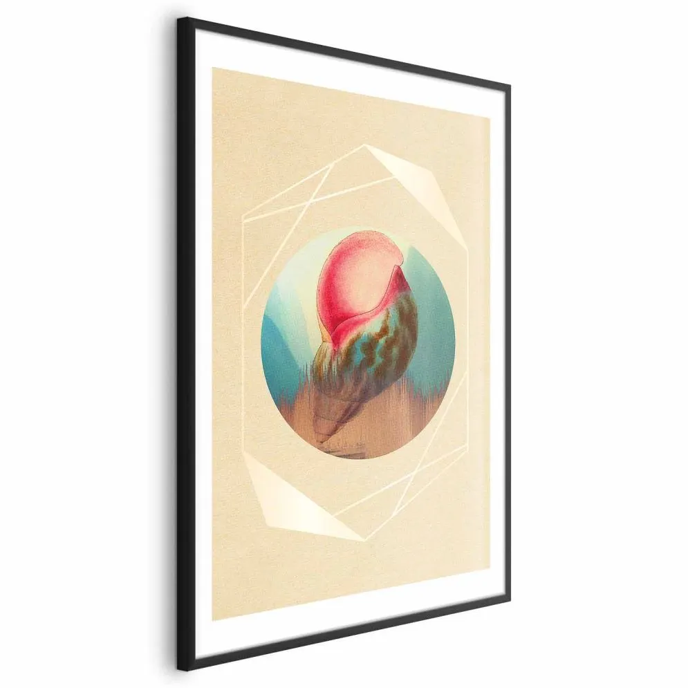 Plakat Muszla 60x90 cm z ramą czarną z marginesem | MIRAT.