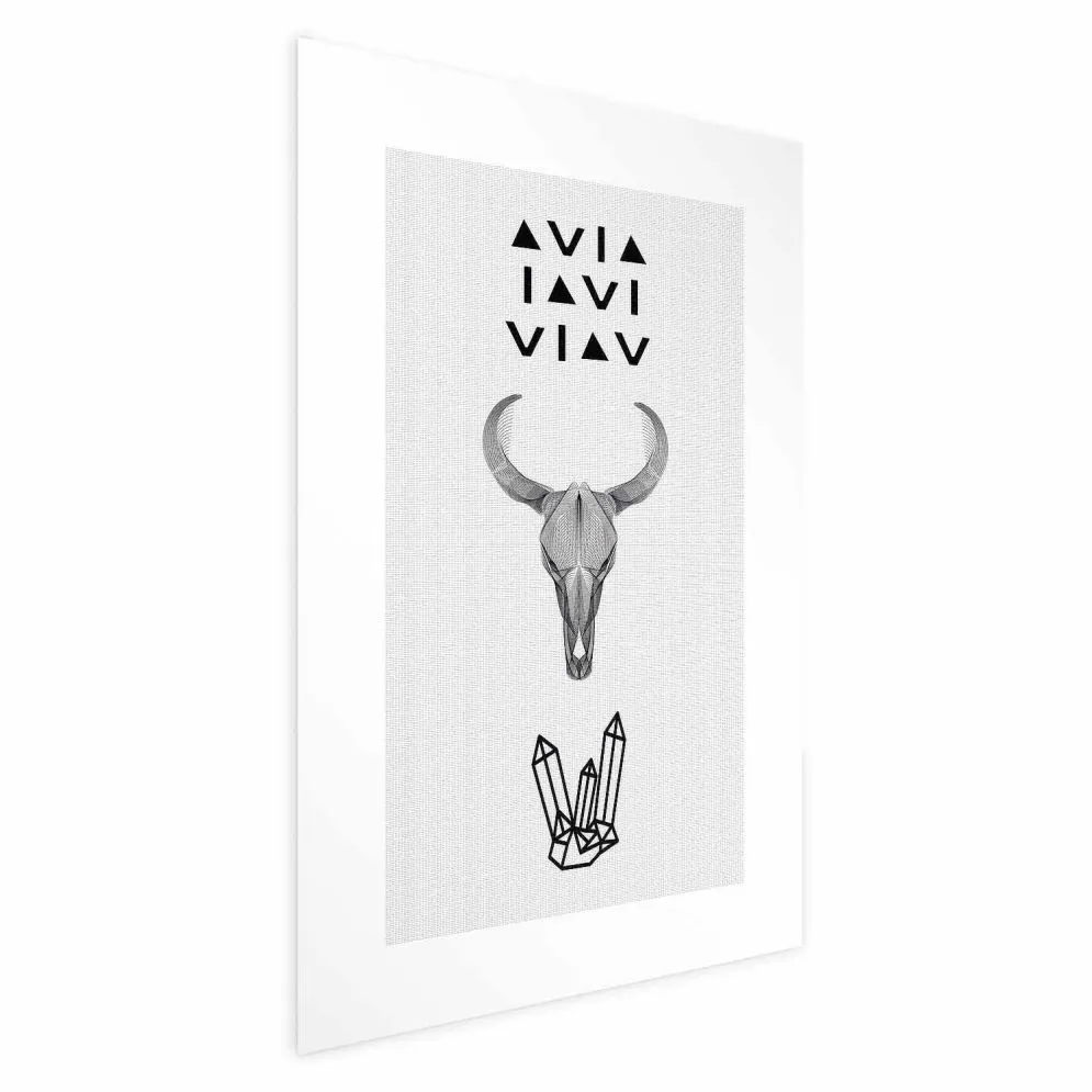 Plakat Zwierzęca czaszka 21x30 cm bez ramy z marginesem | MIRAT.