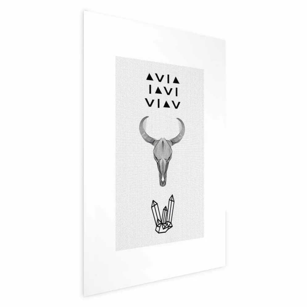 Plakat Zwierzęca czaszka 29,7x42 cm bez ramy bez marginesu | MIRAT.