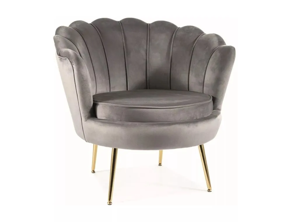 Fotel tapicerowany CAMELLIA 1 VELVET szary elegancki I sklep meblowy MIRAT. styl GLAMOUR