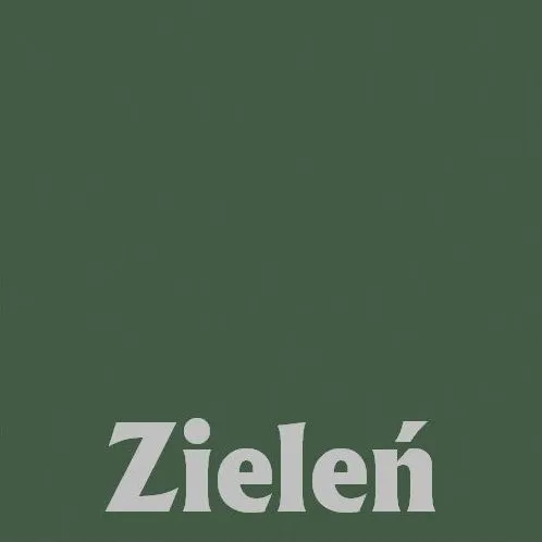 Łóżko dziecięce GRINO 180x80 białe/zielone dwuosobowe z barierką I sklep meblowy MIRAT.