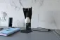 Lampa biurkowa ARBY czarna | sklep MIRAT  kolekcja arby