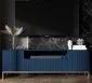 Szafka RTV TAL 2D1K 150cm granatowa mat stojąca I sklep meblowy MIRAT. styl GLAMOUR, LOFT, RYFLOWANY kolekcja TAL