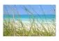 Fototapeta - Tropical journey-2