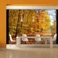 Fototapeta - Beech forest-1