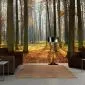 Fototapeta - Autumn trees-1