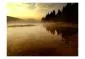 Fototapeta - Las i jezioro-2