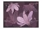 Fototapeta - Dreamy flowers-2
