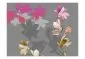 Fototapeta - Pastelowe magnolie-2