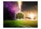 Fototapeta - Magic tree-2