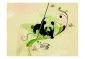 Fototapeta - Panda w lesie bambusowym-2