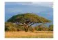  Zimbabwe-1