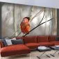Fototapeta - Bullfinch in the forest-1