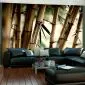 Fototapeta - Fog and bamboo forest-1