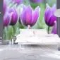 Fototapeta - Fioletowe wiosenne tulipany-1
