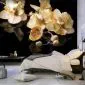 Fototapeta - Orchids in ecru color-1