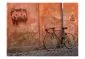 Fototapeta - Rower-2