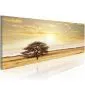 Obraz - Lonely tree on savannah-1