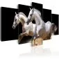 Obraz - Galop - wolność i moc-1