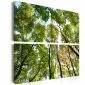Obraz - Treetops-1