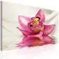 Obraz - Unusual orchid-1