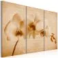 Obraz - orchidea (vintage)-1