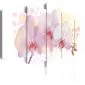 Obraz - Finezyjna orchidea-1