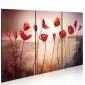 Obraz - Bright red poppies-1