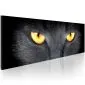 Obraz - Look into my eyes...-1