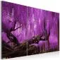 Obraz - Wisteria-1