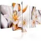 Obraz - Lilium regale-1