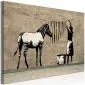 Obraz - Banksy Pranie zebry na betonie (1-częściowy) szeroki-1