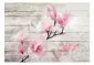 Fototapeta - Delikatność Magnolii-2