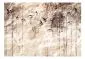 Fototapeta - Papierowa natura-2