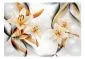 Fototapeta - Niewinność lilii-2