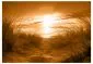 Fototapeta - plaża (sepia)-2