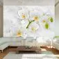 Fototapeta - Liryczna orchidea - biel-1