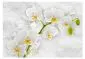 Fototapeta - Liryczna orchidea - biel-2