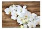 Fototapeta - Delikatność na drewnie-2
