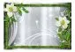 Fototapeta - Bambus i dwie orchidee-2
